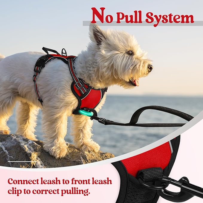rabbitgoo Dog Harness, No-Pull Pet Harness with 2 Leash Clips, Adjustable Soft Padded Dog Vest, Reflective No-Choke Pet Oxford Vest with Easy Control Handle for Small Dogs, Red,XS
