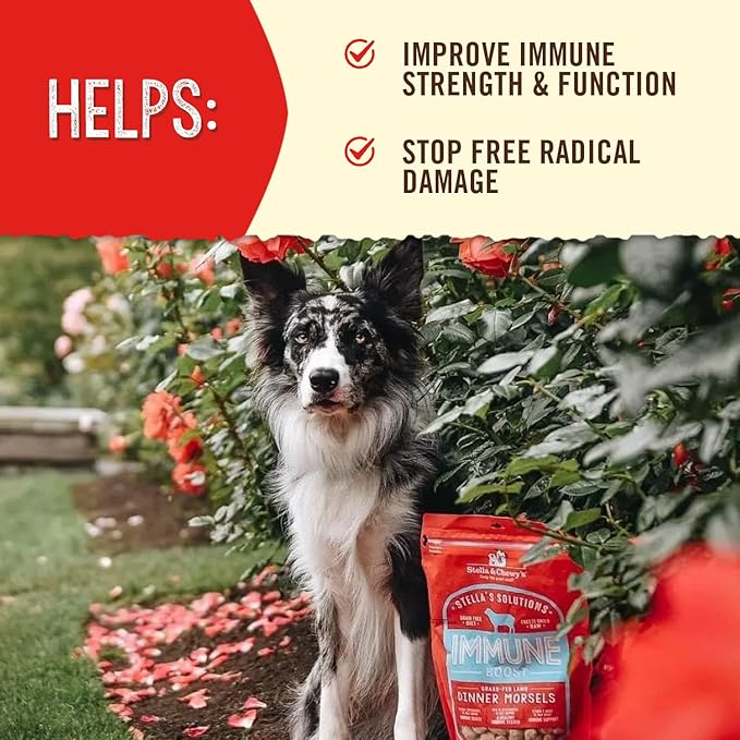 Stella & Chewy's Stella's Solutions Immune Boost Grass-Fed Lamb Dinner Morsels Freeze-Dried Raw Dog Food, 13 oz.