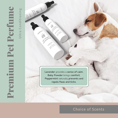 Begley's Pet Cologne and Deodorizer - Premium Essential Oil Dog Perfume Spray Long Lasting and Pet Odor Eliminator - Cat Perfume and Dog Cologne Spray - Peppermint - 8 oz