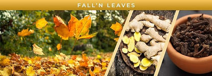 Pet Odor Exterminator Candle, Fall 'N Leaves - Pack of 2