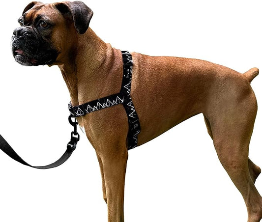 ShawnCo Dream Walk No-Pull Dog Harness- Adjustable, Comfortable, Easy to Use Pet Halter to Help Stop Pulling for Small, Medium and Large Dogs- Art Pattern Designs (Wolf Moon, M)