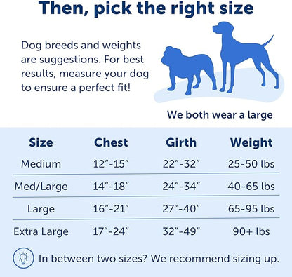 PetSafe Easy Walk No-Pull Dog Harness - The Ultimate Harness to Help Stop Pulling - Take Control & Teach Better Leash Manners - Helps Prevent Pets Pulling on Walks, Medium, Royal Blue/Navy Blue