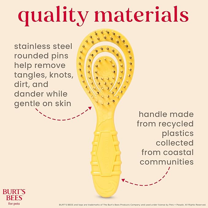 Burt's Bees for Pets Detangling Pin Brush for Puppies and Small Dogs | Handle Made from Recycled Plastics Collected from Coastal Communities | Dog Brush Removes Tangles and Loosens Light Matting