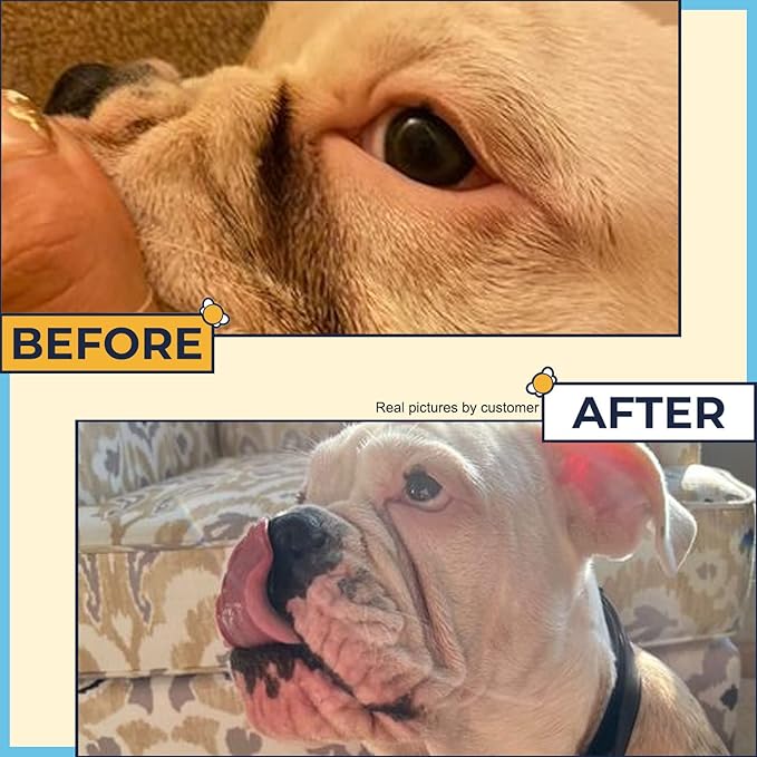 Wrinkle Paste for Bulldogs + Wrinkle Wipes French Bulldog- Wrinkle Cream for Dogs (Frenchie, English Bulldog, Pug)-Cleans Rashes,Tail Pockets- English Bulldog Harness Cream w/ Dog Face Wipes
