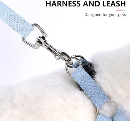 Beirui Small Dog Harness and Leash Set, No Pull Step-in Harness for Puppy, Lightweight Air Mesh Pet Harness for Small Dogs (Pink XS)