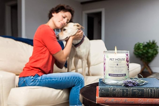 One Fur All Pet House Pumpkin Pie Scented Candle 2 Pack - Plant-Based/Soy, Long Lasting, Odor Eliminating