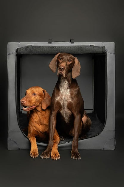 Noah & Paw Collapsible Dog Crate 36 Inches, XL Dog Crate for XL, Large Medium Breed, Travel Kennel for Car, Includes Pet Mat for Pet Cage, 2 Storage Pockets, Handbag, 10mm Locking Zippers 36*25*23