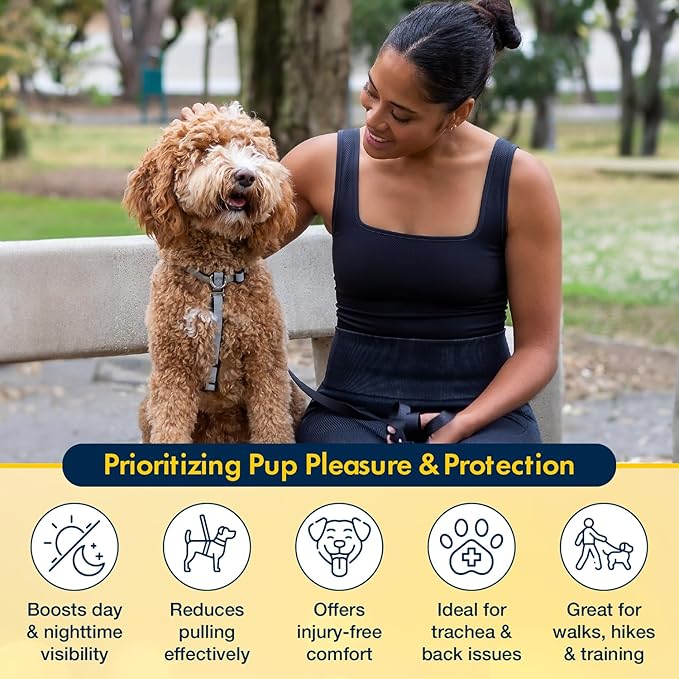 No Pull Harness with Fully Customizable Fitment for Large Dogs - 3M Reflective Heavy Duty Harness for Walking & Training - No Choke Comfortable Collar Design, Made in USA L-Sky Blue