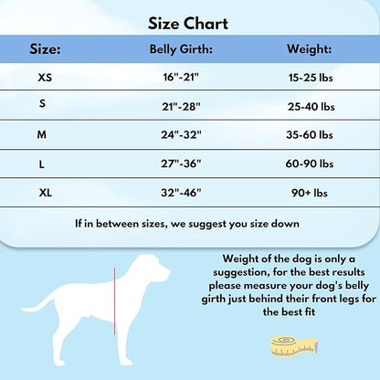 ShawnCo Dream Walk No-Pull Dog Harness- Adjustable, Comfortable, Easy to Use Pet Halter to Help Stop Pulling for Small, Medium and Large Dogs (Oceanic Blue, XS)