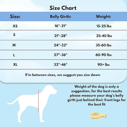 ShawnCo Dream Walk No-Pull Dog Harness- Adjustable, Comfortable, Easy to Use Pet Halter to Help Stop Pulling for Small, Medium and Large Dogs (Sunset Orange, L)