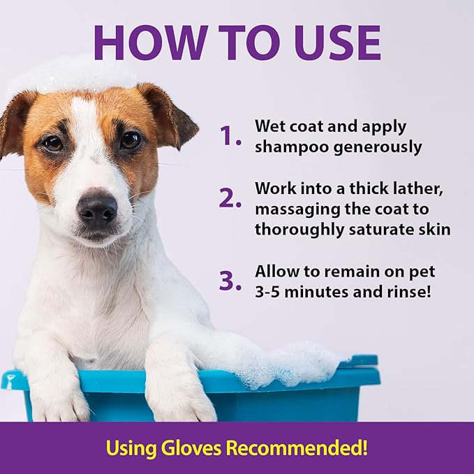 Odor Destroying Shampoo for Dogs, 32 oz. – Formulated with Powerful De-Greasers, Skunk Odor Remover for Pets, Carpet, Furniture and More – Removes Skunk Smell Fast