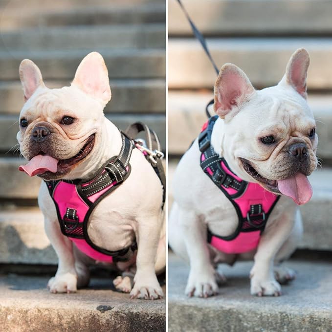 PoyPet No Pull Dog Harness, No Choke Front Lead Dog Reflective Harness, Adjustable Soft Padded Pet Vest with Easy Control Handle for Small to Large Dogs(Pink,XS)