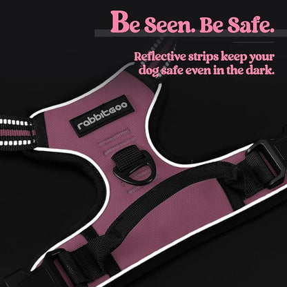 rabbitgoo Dog Harness, No-Pull Pet Harness with 2 Leash Clips, Adjustable Soft Padded Dog Vest, Reflective No-Choke Pet Oxford Vest with Easy Control Handle for Medium Dogs, Pink, M