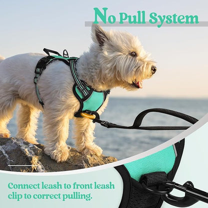 rabbitgoo Dog Harness, No-Pull Pet Harness with 2 Leash Clips, Adjustable Soft Padded Dog Vest, Reflective No-Choke Pet Oxford Vest with Easy Control Handle for Small Dogs, Turquoise, XS