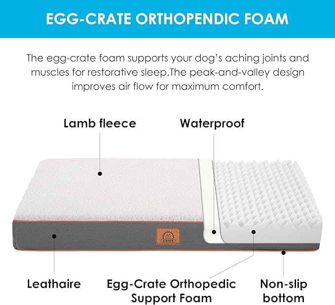 Orthopedic Dog Bed for Large Dogs and Extra Large Dogs, XL Dog Bed with Removable Waterproof Cover and Machine Washable, Pet Bed Mat Egg-Crate Foam, L-Plus(36"X27"X3"), Light Grey