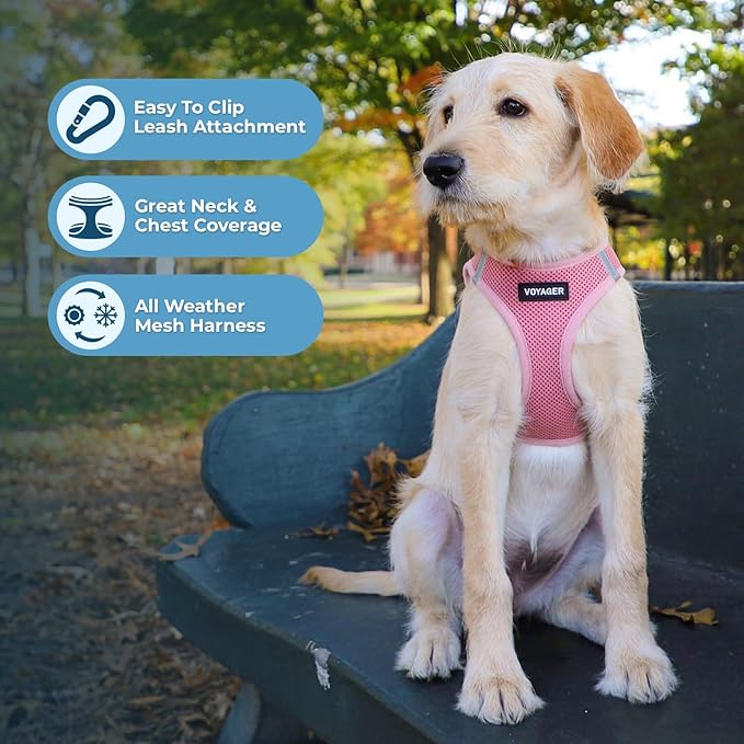 Voyager Step-In Air Dog Harness - All Weather Mesh, Reflective, No Pull Harness for Small, Medium Dogs, Cats - Secure with Hook & Loop Fastener, Buckle, Double D-Rings - Pink, XXS