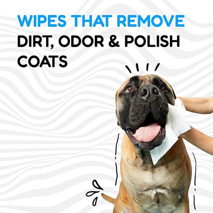 Pacific Pups Products Dog Wrinkle Wipes French Bulldog - 100 Count - Gentle, Plant Based Bulldog Face Wipes - Unscented Dog Wipes for Paws and Butt, Frenchie Wrinkle Wipes for Dogs