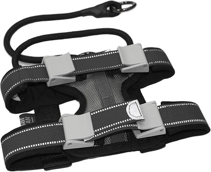 Cesar Millan Pack Leader Collar™ - Training Collar of The Dog Whisperer (Small, Grey)
