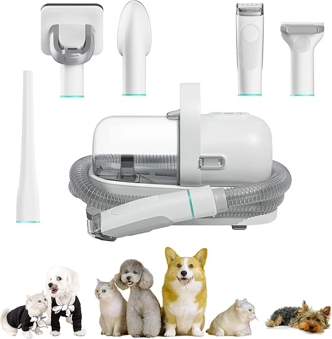 Pet Grooming Tools Dog Grooming Clippers for Dogs Cats and Other Animals