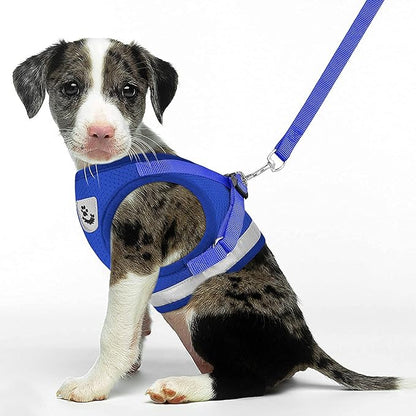 Cat Harnesses for Small Dogs - Cat Harnesses and Leashes for Walking, Adjustable Reflective Step in Dog Harness for Small Dog and Cat (Blue, XS (10.2” – 11.4”))