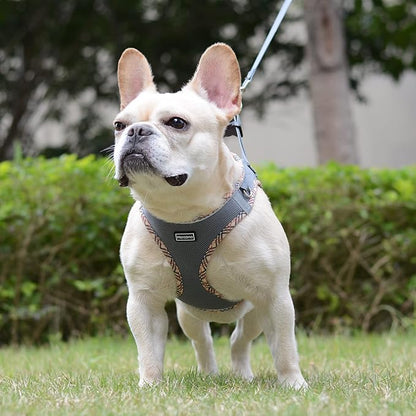 Mercano Soft Mesh Dog Harness and Leash Set, No-Chock Step-in Reflective Breathable Lightweight Easy Walk Escape Proof Vest Harnesses with Safety Buckle for Small Medium Dogs, Cats (Grey, XL)