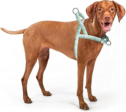 No Pull Dog Harness for Small, Medium, and Large Pets - Floral Pattern Nylon Safety Training Dog Harness (S, Grass)