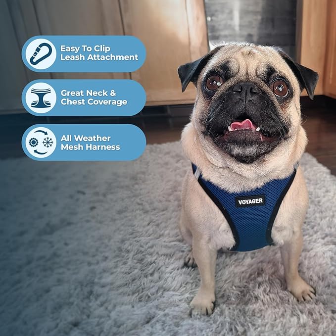 Voyager Step-in Air Dog Harness - All Weather Mesh, Reflective, No Pull Harness for Small, Medium Dogs, Cats - Secure with Hook & Loop Fastener, Buckle, Double D-Rings - Blue/Black Trim, L