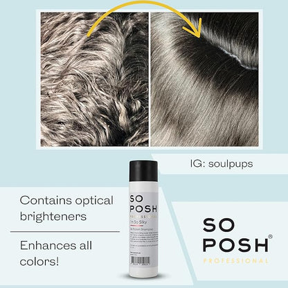 So Posh I´m So Silky Dog Shampoo - with Silk Protein, Perfect for Drop-Coats Like Yorkie, Maltese, Shih Tzu etc. Heavy, Smooth & Anti-Static Result, Sulfate & Paraben Free, 1:10 Concentrate. 33.8 Oz