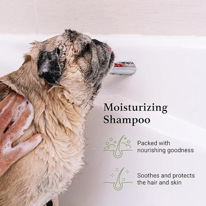 iGroom Argan+Vitamin E Dog Shampoo, Groom Like a Professional, Enhanced Cleaning Power, Reccommended pH Balance, Made in USA, 16 oz