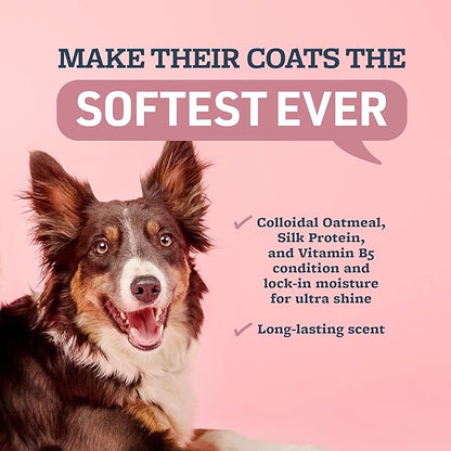 Veterinary Formula Smart Coat Complex Ultra Oatmeal Moisturizing Shampoo for Dogs, 128 Fl oz / 1 Gallon – Moisture-Rich, Nourishing – Leaves Coat Clean, Soft, Silky, Shiny – Long-Lasting Fragrance