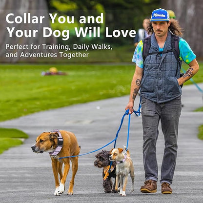 Rttochfy Martingale Dog Collars, Adjustable Nylon Dog Collar with Quick Release Buckle, No Choke Dog Training Collar for Small Medium Large Dogs (Blue, S)