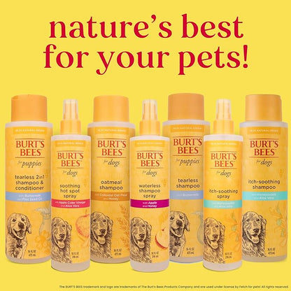 Burt's Bees for Pets Waterless Shampoo Spray for Dogs with Apple and Honey, 99.1% Natural Origin Formulas, Waterless Dog Shampoo - Gentle Dry Shampoo for Dogs, Best Dog Shampoo, 10 oz