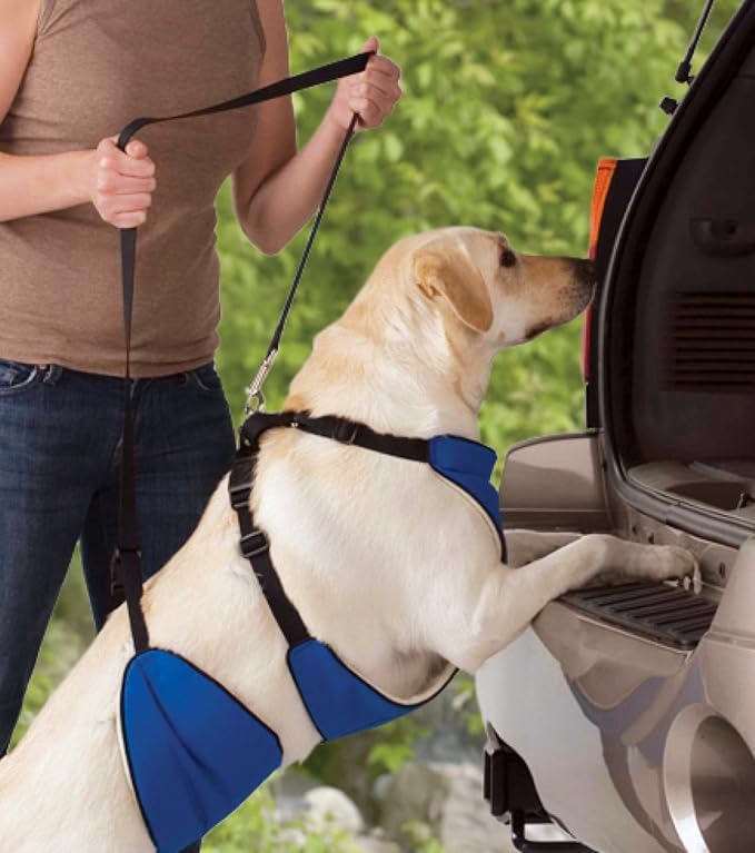 Guardian Gear Nylon Lift & Lead 4-in-1 Dog Harness, Large, Blue