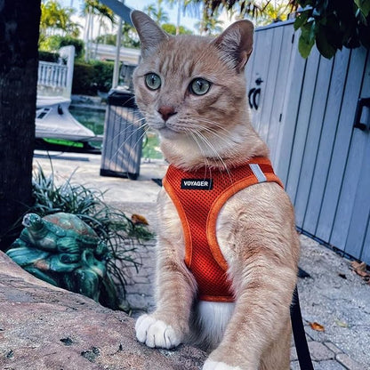 Voyager Step-in Air Dog Harness - All Weather Mesh, Reflective, No Pull Harness for Small, Medium Dogs, Cats - Secure with Hook & Loop Fastener, Buckle, Double D-Rings - Orange, XL