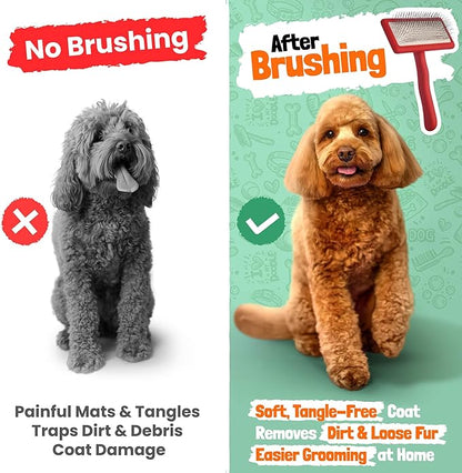 Slicker Brush for Dogs - Doodle Brush - Goldendoodles Labradoodles Bernedoodles - Goldendoodle Must Haves - Poodle Comb and Cases Included - Medium - Red