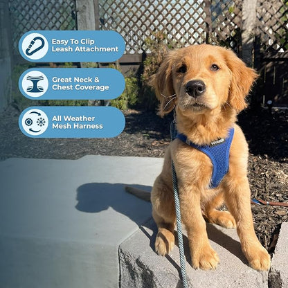 Voyager Step-in Air Dog Harness - All Weather Mesh, Reflective, No Pull Harness for Small, Medium Dogs, Cats - Secure with Hook & Loop Fastener, Buckle, Double D-Rings - Royal Blue, XXXS
