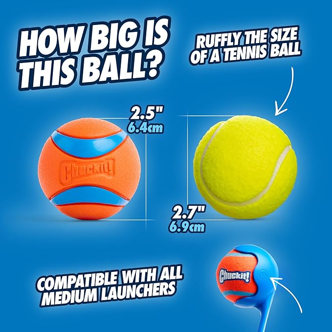 Chuckit! Ultra Ball Dog Toy with Chuckit! Cleaning Bucket Bundle - Bouncy Fetch Pet Toys For Dogs 20-60 lbs - Floats in Water - Durable Rubber - Size Medium - 2.5-inch Diameter - 8-Pack of Balls