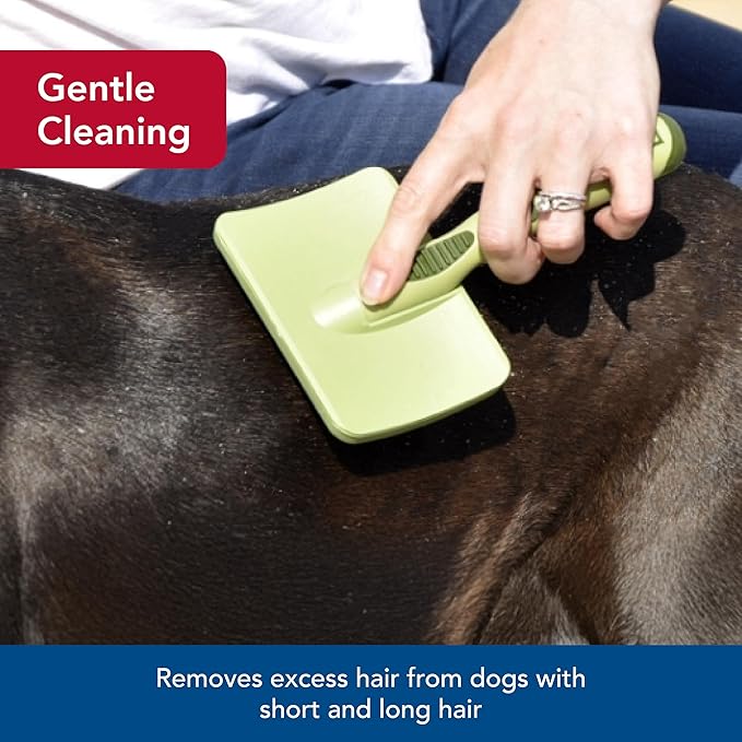 Coastal Pet Safari Dog Soft Slicker Brush - Dog Grooming Brush for Shedding - for Dogs with Short, Medium and Long Hair - Medium - 6.25" x 3.5"