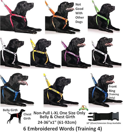 Deaf Dog (Dog Has Limited/No Hearing) White Colour Coded Non-Pull Front and Back D Ring Padded and Waterproof Vest Dog Harness Prevents Accidents by Warning Others of Your Dog in Advance (L)