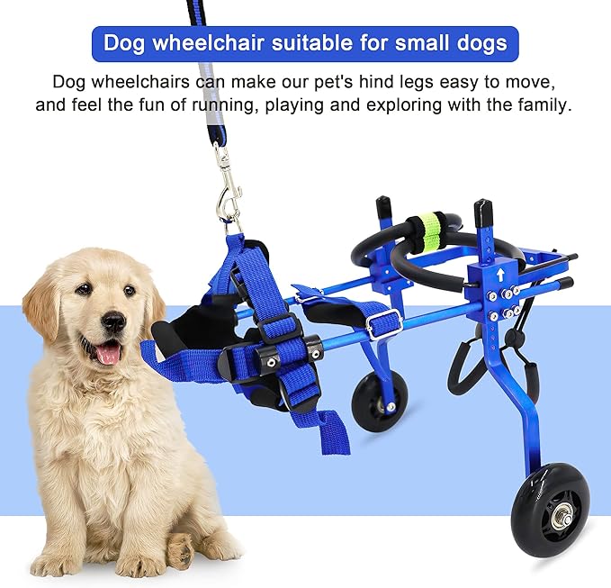 Adjustable Dog Wheelchair for Back Legs，Pet/Doggie Doggy Wheelchairs with Disabled Hind Legs Walking (XS-Blue)