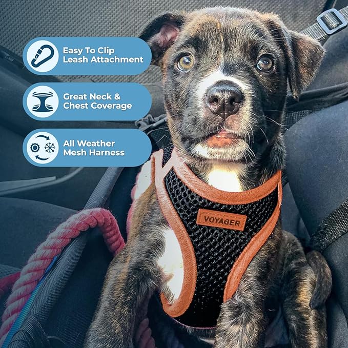 Voyager Step-in Air Dog Harness - All Weather Mesh, Reflective, No Pull Harness for Small, Medium Dogs, Cats - Secure with Hook & Loop Fastener, Buckle, Double D-Rings - Black/Orange Trim, L