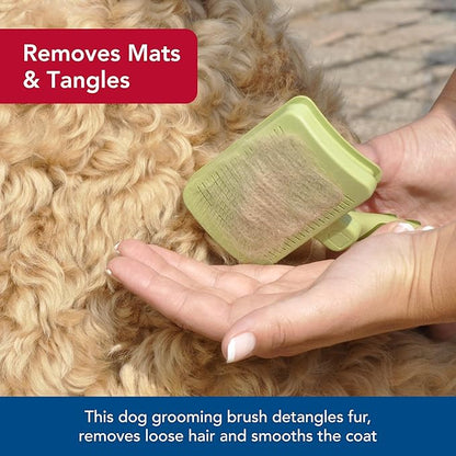 Coastal Pet Safari Dog Self-Cleaning Slicker Brush - Dog Deshedding Brush - Prevents Mats and Tangled Hair - For Dogs with Short or Long Hair - Large - 8" x 4.5"