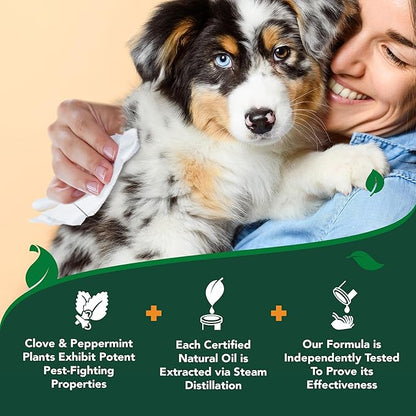 Vet's Best Flea and Tick Wipes for Dogs, Dog Wipes for Kennel, Flea and Tick Prevention, Plant-Based Formula, Pet Essentials, Made in USA, Certified Natural Oils, 50 ct