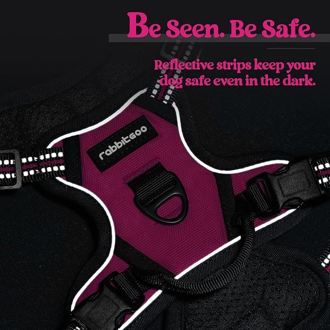 rabbitgoo Dog Harness, No-Pull Pet Harness with 2 Leash Clips, Adjustable Soft Padded Dog Vest, Reflective No-Choke Pet Oxford Vest with Easy Control Handle for Small Dogs, Hot Pink, XS