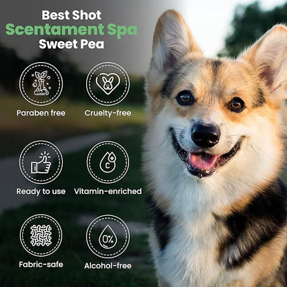 Best Shot Scentament Spa Botanical Body Spray, Body Spray Conditioner for Pets, Cat and Dog Cologne Spray, Sweet Pea, 8 Oz