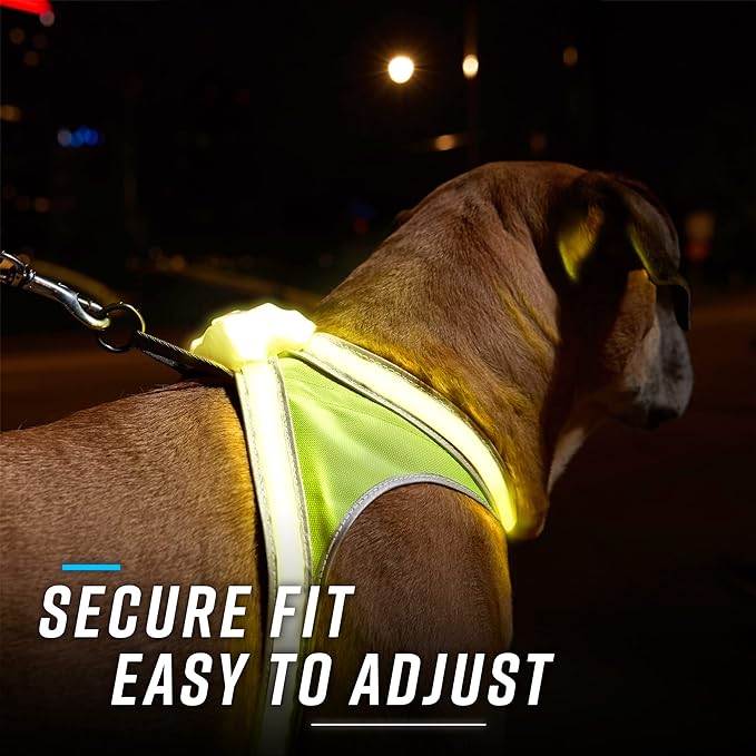 Noxgear LightHound – Revolutionary Illuminated and Reflective Harness for Dogs Including Multicolored LED Fiber Optics (USB Rechargeable, Adjustable, Lightweight, Rainproof) (Large)