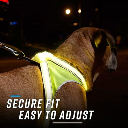 Noxgear LightHound – Revolutionary Illuminated and Reflective Harness for Dogs Including Multicolored LED Fiber Optics (USB Rechargeable, Adjustable, Lightweight, Rainproof) (Large)