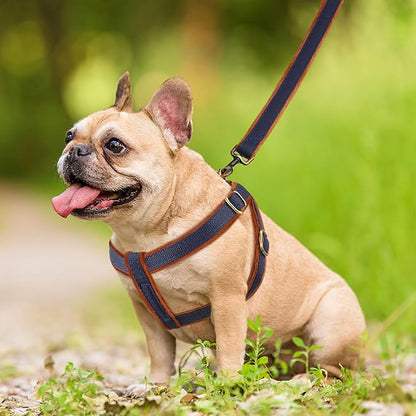 Beirui Soft Small Dog Harness and Leash Set-Adjustable Step in Dog Harness for Small Dogs-Easy Walk Dog Harness Small Sized Dog-Warm No Pull Dog Harness and Leash Used in Autumn Winter(Dark Blue,S)