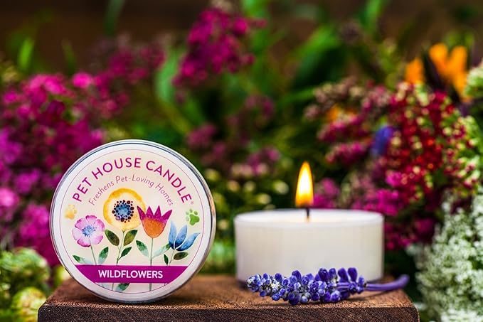One Fur All Pet House Mini Candles for Pet Odor Made with Natural Soy Wax, Plant Based, Dog and Cat Friendly Scented Candles, Pumpkin Spice Pack of 3