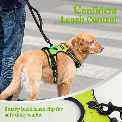 rabbitgoo Dog Harness, No-Pull Pet Harness with 2 Leash Clips, Adjustable Soft Padded Dog Vest, Reflective No-Choke Pet Oxford Vest with Easy Control Handle for Large Dogs, Wild Lime, XL